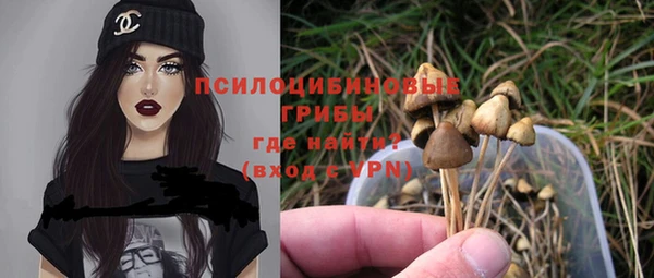 молекула духа Арсеньев