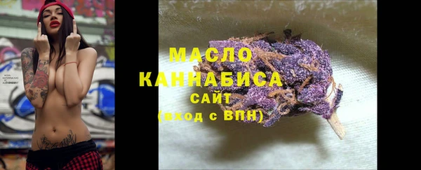 молекула духа Арсеньев