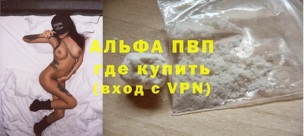 spice Аркадак