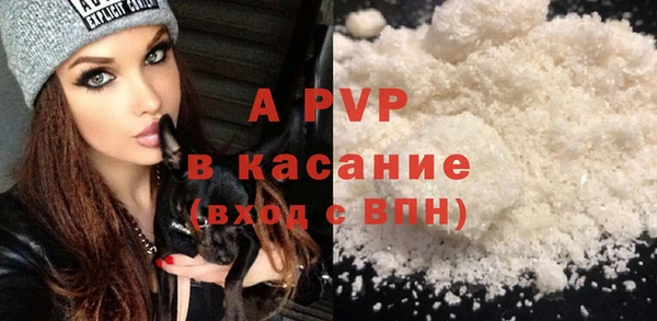 spice Аркадак