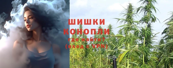 spice Аркадак