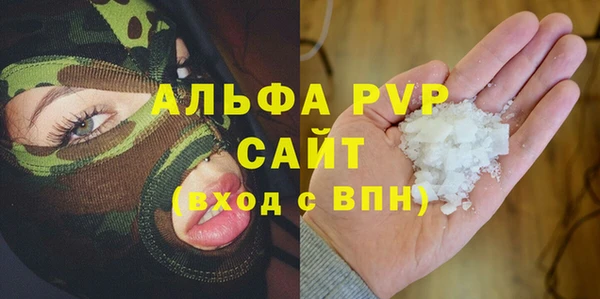 молекула духа Арсеньев