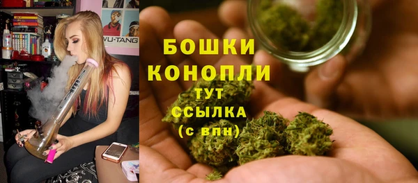 spice Аркадак