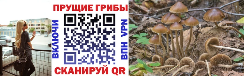 Купить закладки  Краснослободск  Псилоцибиновые грибы мухоморы 