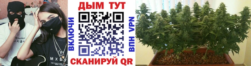 Купить  Краснослободск  Шишки марихуана план 